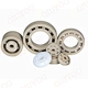 Ceramic bearing